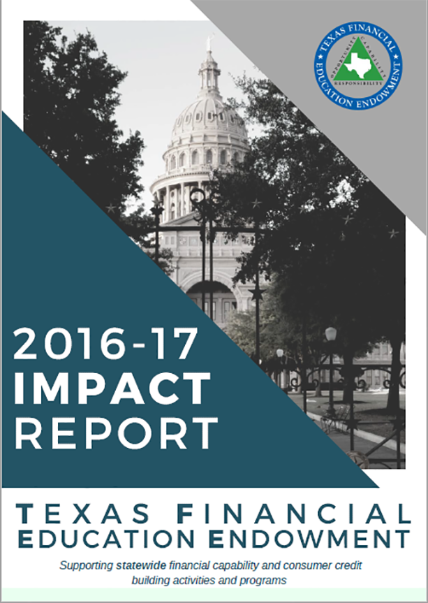 Image of 2016 - 2017 TFEE Impact Report Cover