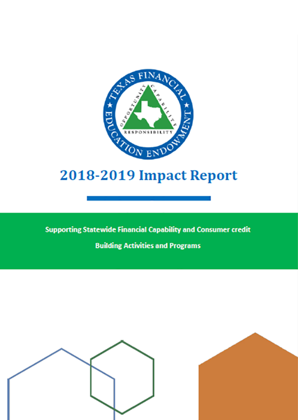 Image of 2018 - 2019 TFEE Impact Report Cover